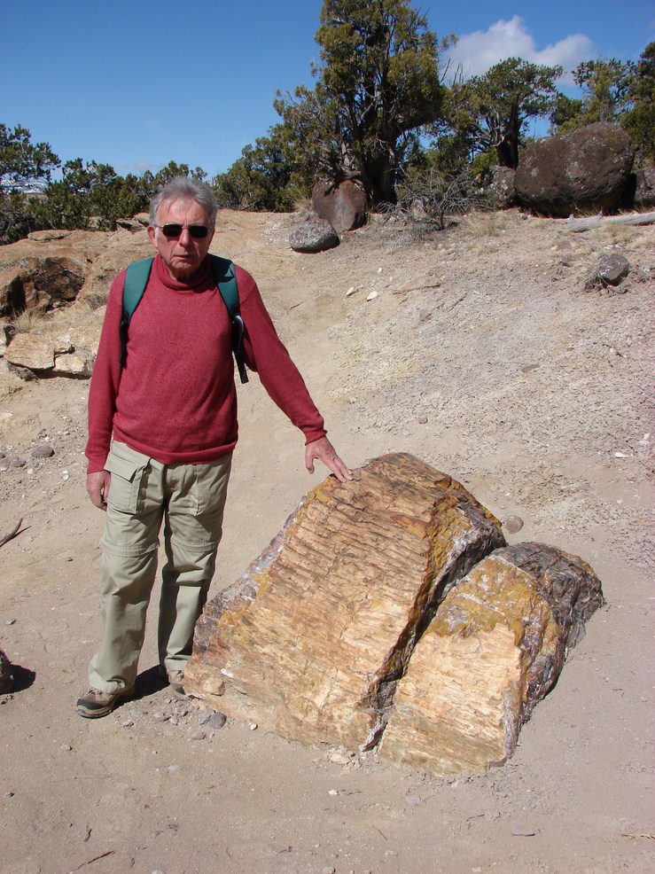 esacalante (5) (Copier).JPG